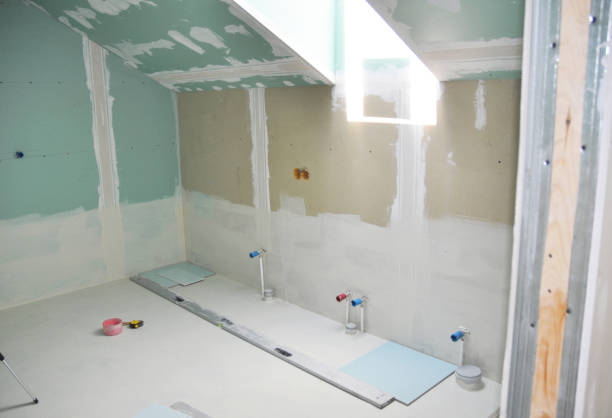 Best Mold Prevention Services  in Hayden, CO