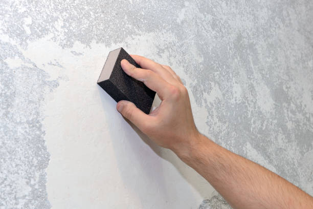 Best Forensic Mold Investigation  in Hayden, CO