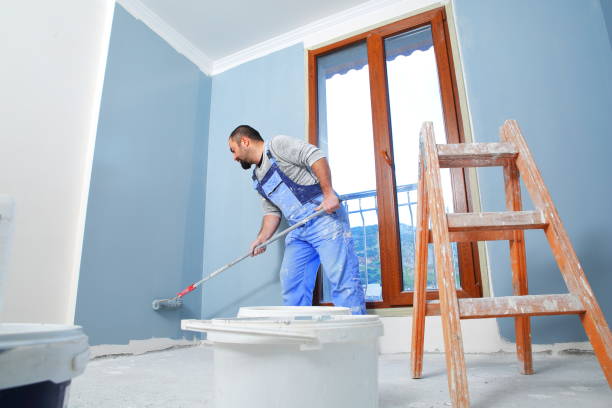 Best Mold Removal for HVAC Installations  in Hayden, CO