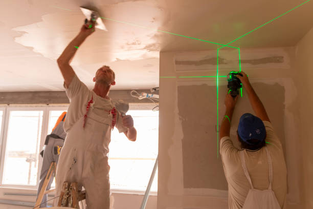 Environmental Consulting for Mold Prevention in Hayden, CO