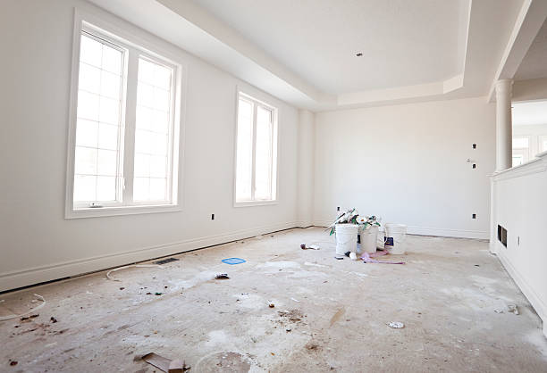 Best Mold Damage Restoration  in Hayden, CO