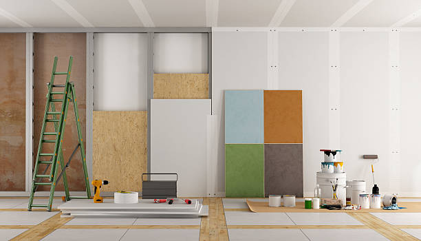 Best Post-Construction Mold Inspection  in Hayden, CO