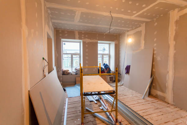 Hayden, CO Mold Removal Company