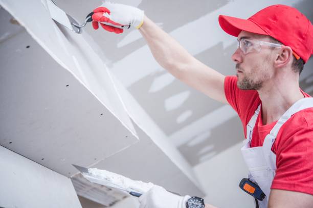 Best Attic Mold Removal  in Hayden, CO
